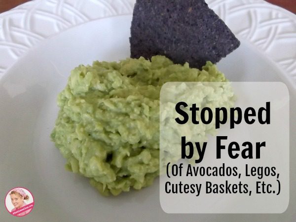 Stopped by Fear (Of Avocados, Legos, Cutesy Baskets, Etc.) at ASlobComesClean.com