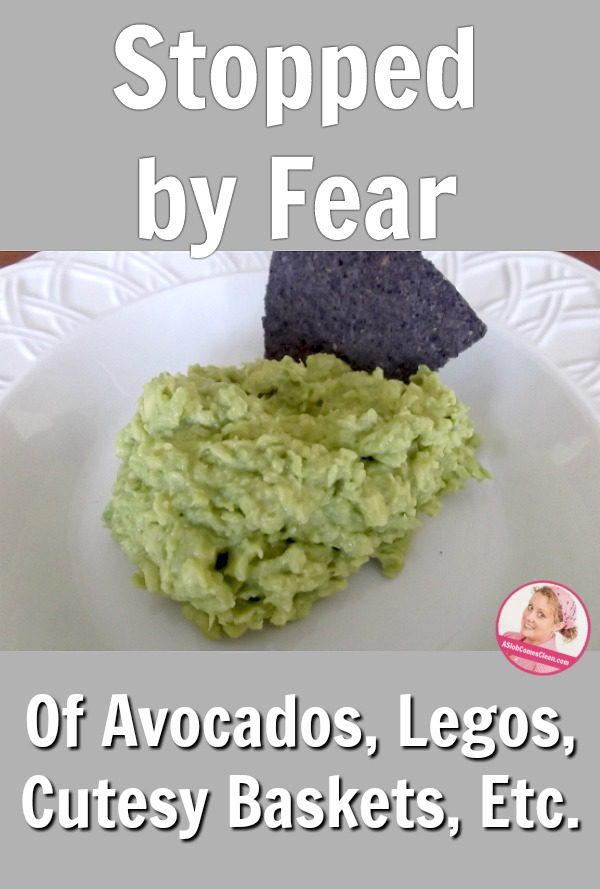 Stopped by Fear (Of Avocados, Legos, Cutesy Baskets, Etc.) just declutter at ASlobComesClean.com