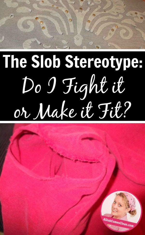 The Slob Stereotype (Fighting It and Fitting It) pin at ASlobComesClean.com