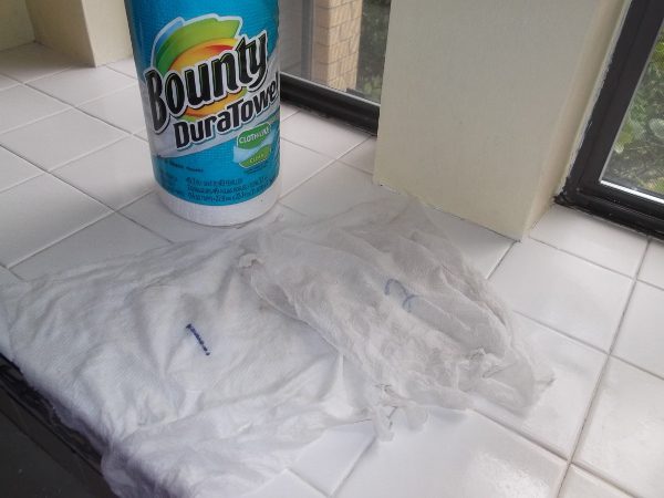 The two paper towels when the job was done