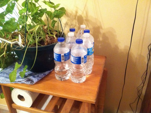 Salvaged Water For Plants