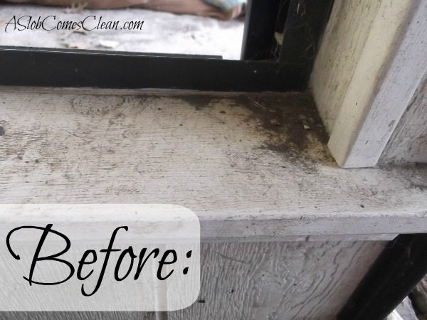 Dealing with Mold in My Enclosed Porch (Ugh.) Concrobium Mold Control to  the Rescue - Dana K. White: A Slob Comes Clean