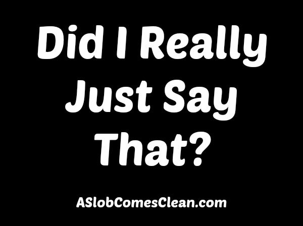 Did I Really Just Say That? My Changed Mindset About Clothing from ASlobComesClean.com