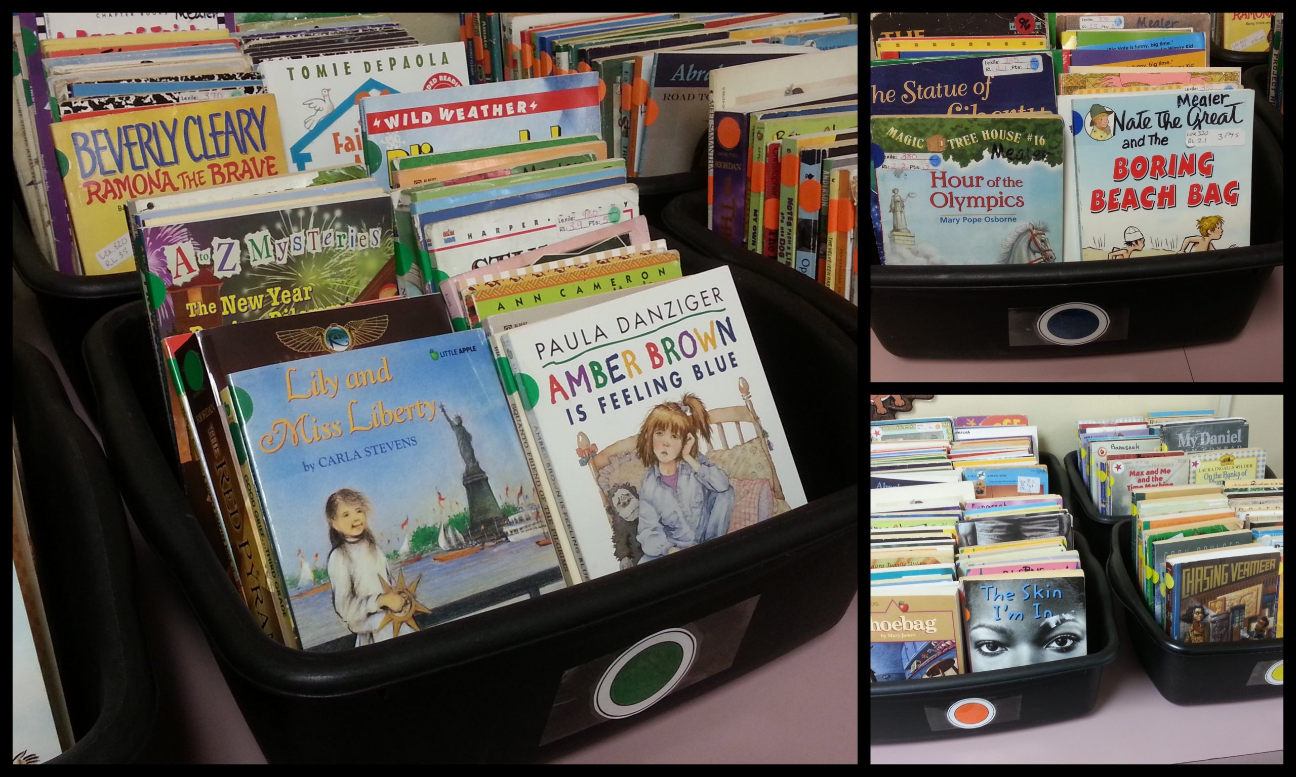 Classroom Library Organization