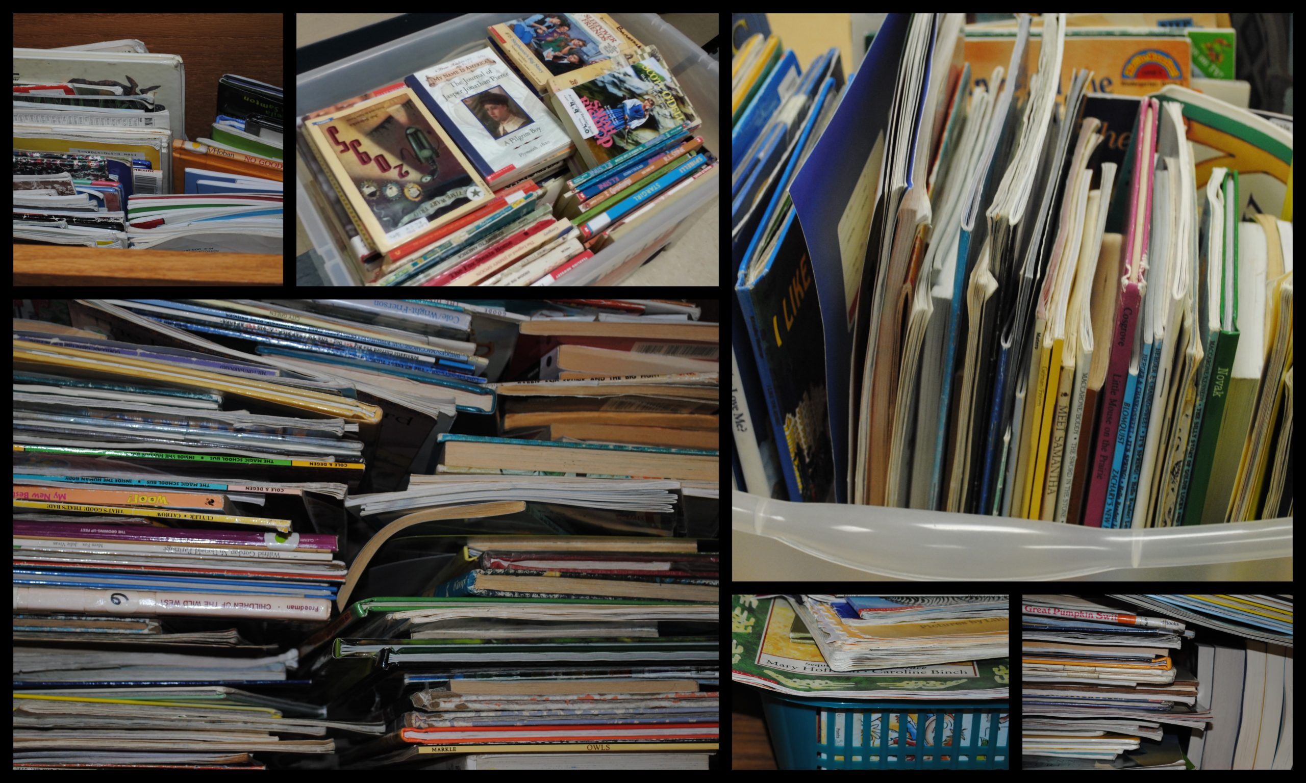 Classroom Library Organization