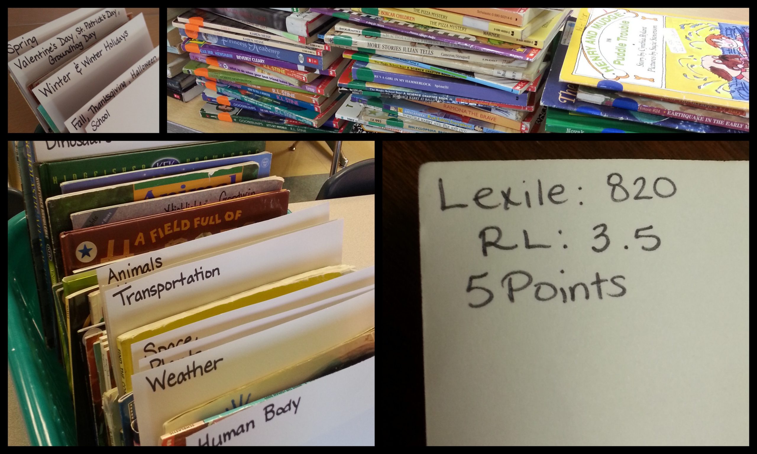 Classroom Library Organization