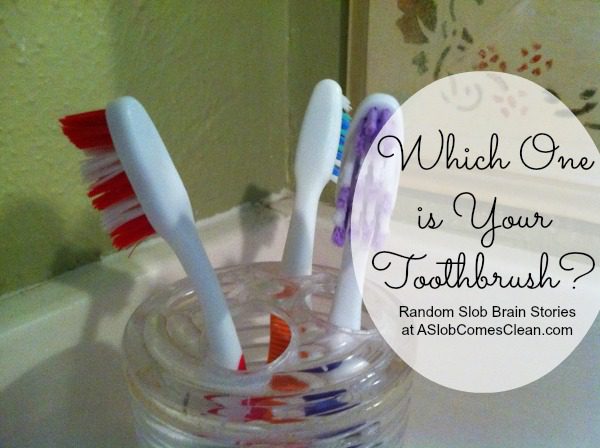 Which One is Your Toothbrush at ASlobComesClean.com