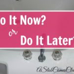 Do It Now or Do It Later at ASlobComesClean.com when should I do daily tasks