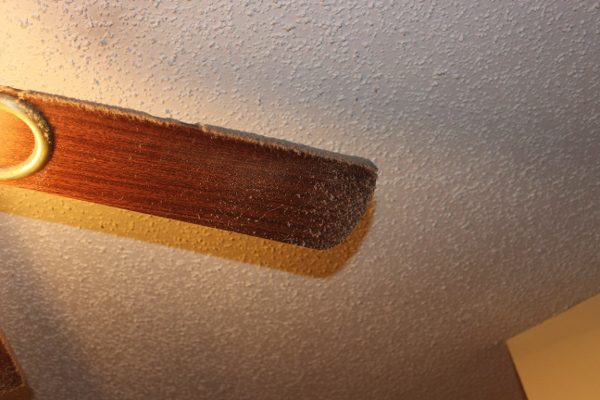 Ceiling Fan Dust that Suddenly Matters at ASlobComesClean.com