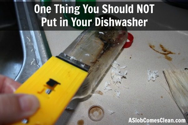 One Thing You Should NOT Put in Your Dishwasher at ASlobComesClean.com