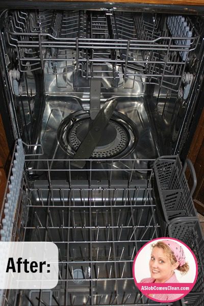 After I Cleaned My Dishwasher at ASlobComesClean.com