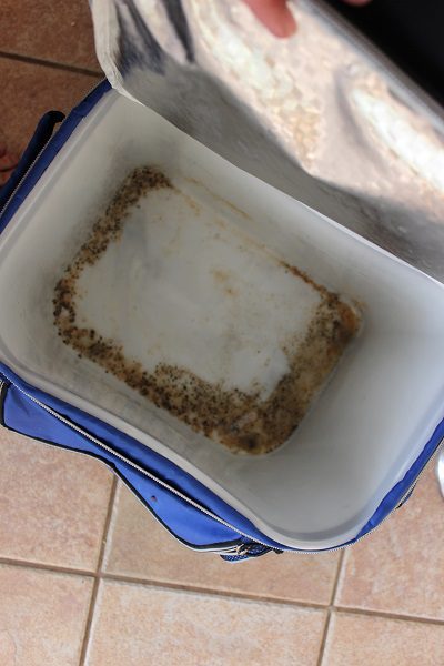 Photo - Beyond Icky Forgotten Ice Chest at ASlobComesClean.com