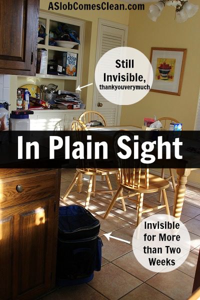 In Plain Sight at ASlobComesClean.com