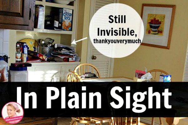 In-Plain-Sight title -at-ASlobComesClean.com_