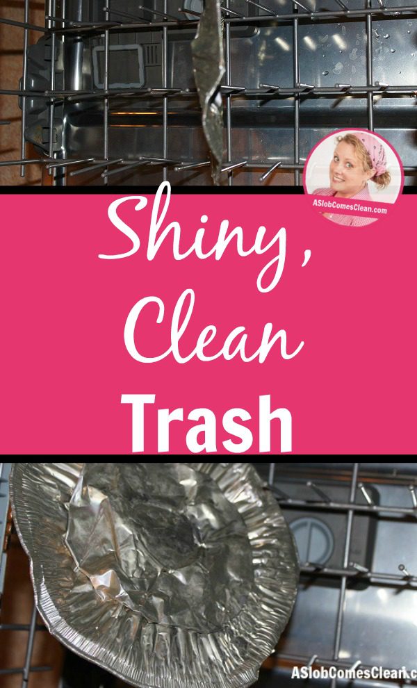 Shiny, Clean Trash at ASlobComesClean.com pin