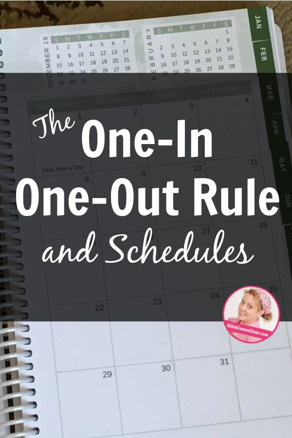 the-one-in-one-out-rule-schedules-day-is-a-container-at-aslobcomesclean.com