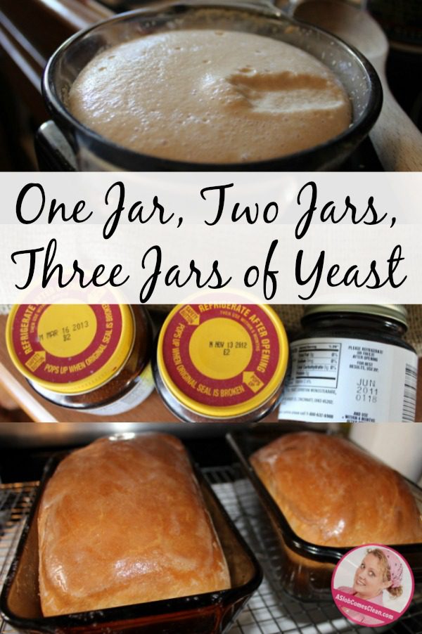 Three Jars of Yeast a story of bread baking at ASlobComesClean.com