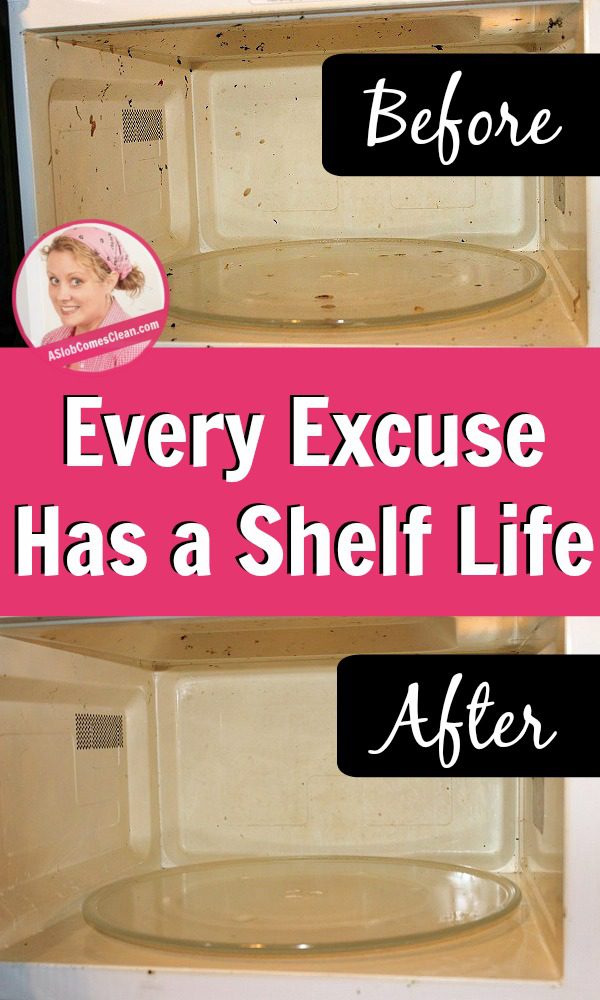 Every Excuse Has a Shelf Life pin at ASlobComesClean.com