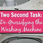 Two Second Task De-Grossifying the Washing Machine pin at ASlobComesClean.com