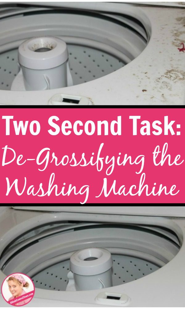 Two Second Task De-Grossifying the Washing Machine pin at ASlobComesClean.com
