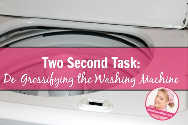 Two Second Task De-Grossifying the Washing Machine title at ASlobComesClean.com