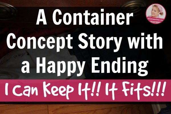 Using the Container Concept to Declutter (The Story with the Happy Ending!) at ASlobComesClean.com