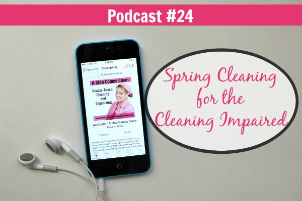 podcast 24 spring cleaning for the cleaning impaired