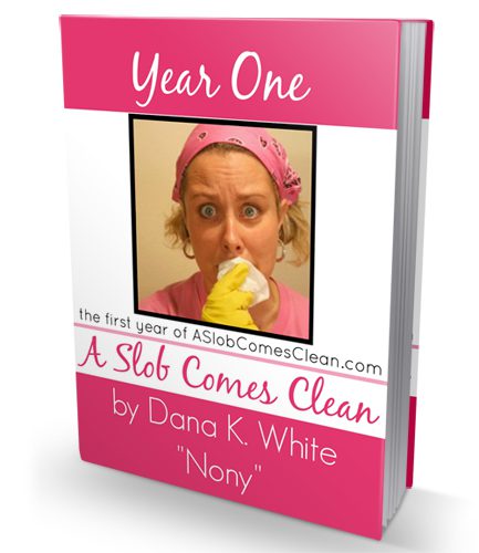 Get Year One of ASlobComesClean.com in e-book form. 