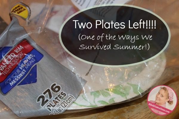 Two Plates Left! (One of the Ways we Survived Summer!) at ASlobComesClean.com