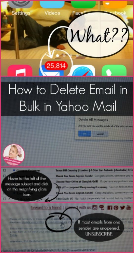 How to Delete Email in Build in Yahoo at ASlobComesClean.com pin