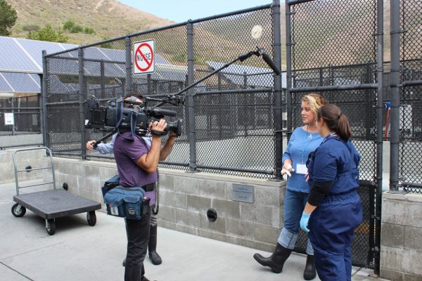 Interviewing Korie at the Marine Mammal Center about her role as a volunteer - ASlobComesClean.com