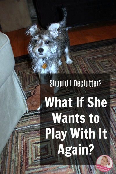 What If She Wants to Play With It Again Declutter Puppy Toys at ASlobComesClean.com