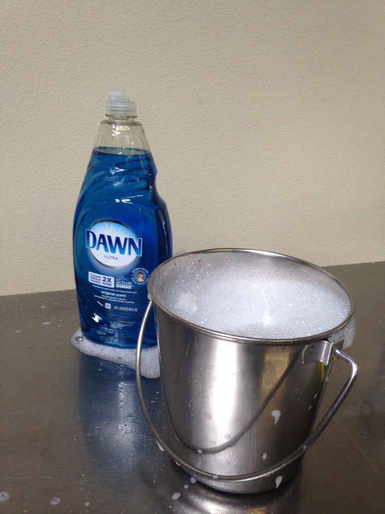 Cleaning the Fish Kitchen with Dawn Dish Soap ASlobComesClean.com