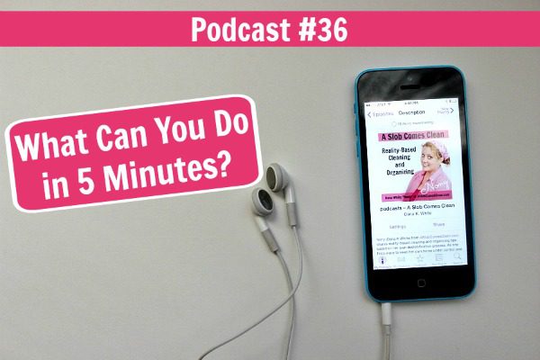 podcast 36 What Can You Do in 5 Minutes at ASlobComesClean.com fb