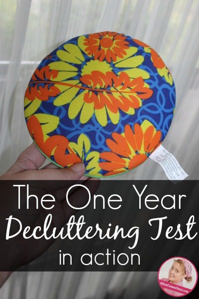 Putting the One Year Decluttering Test into Action at ASlobComesClean.com