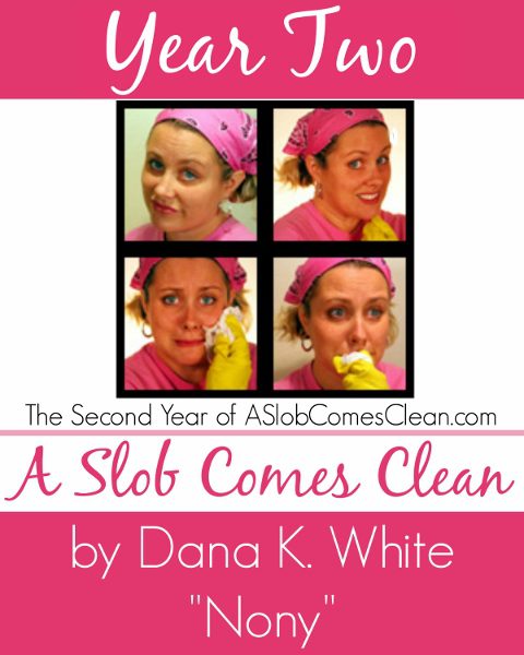 Year two of ASlobComesClean.com in E-book form!