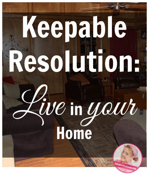 A Keepable Resolution at ASlobComesClean.com