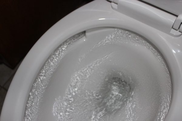 Photo of Vormax Flushing System - a sponsored post at ASlobComesClean.com