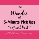 the Wonder of 5 Minute Pick Ups A Guest Post - A Slob Comes Clean