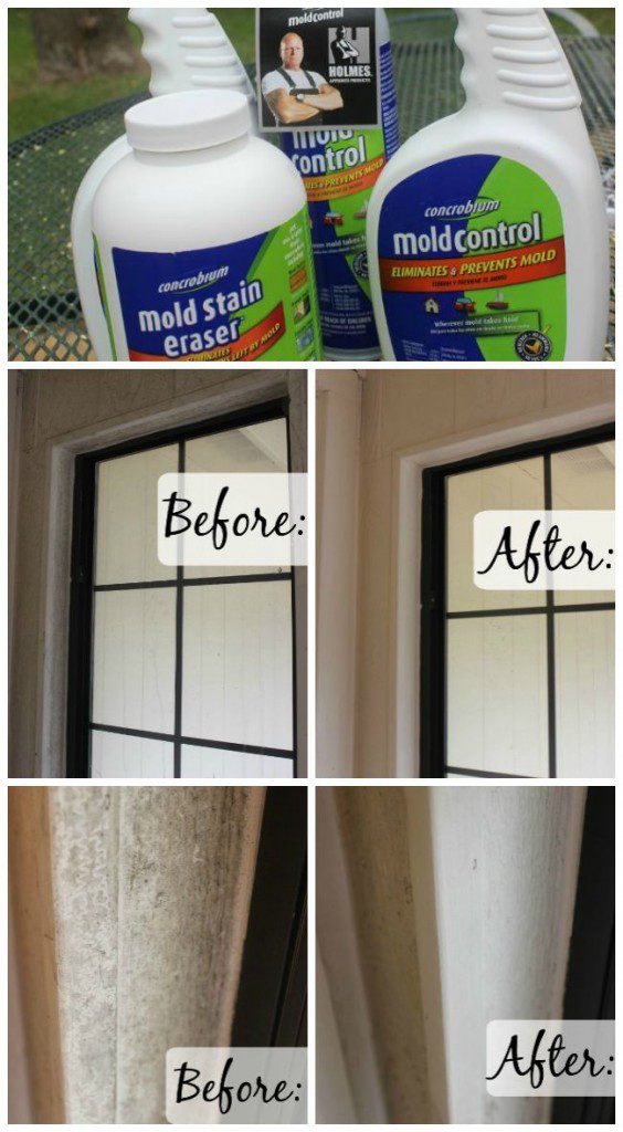 Dealing with Mold in My Enclosed Porch (Ugh.) Concrobium Mold Control to  the Rescue - Dana K. White: A Slob Comes Clean