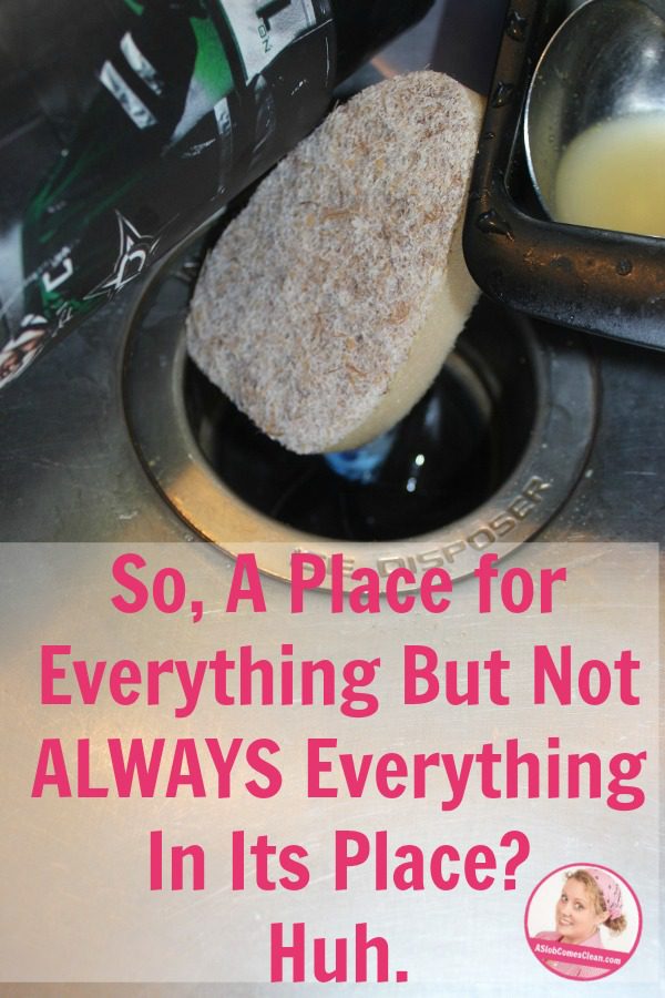 So, A Place for Everything But Not ALWAYS Everything In Its Place Huh. at ASlobComesClean.com 2