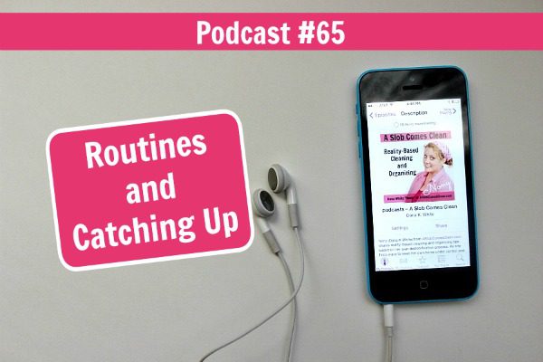 podcast 65 Routines and Catching Up at ASlobComesClean.com fb