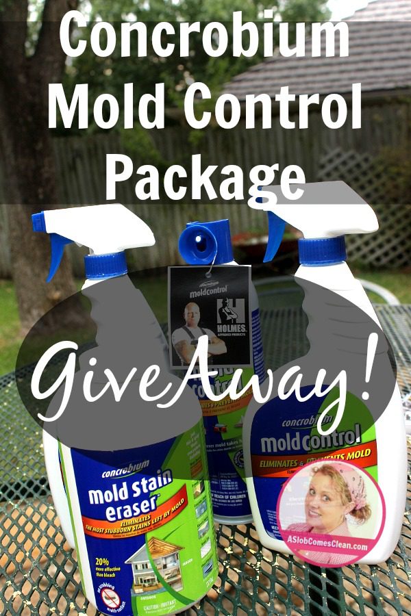 Giveaway of Concrobium Mold Control Package! - Dana K. White: A Slob Comes  Clean