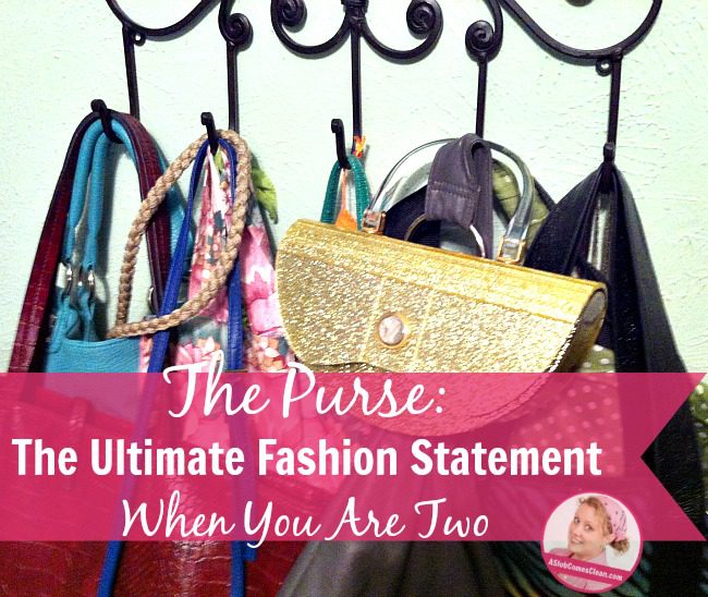 fb Purse The Ultimate Fashion Statement When You are Two at ASlobComesClean.com