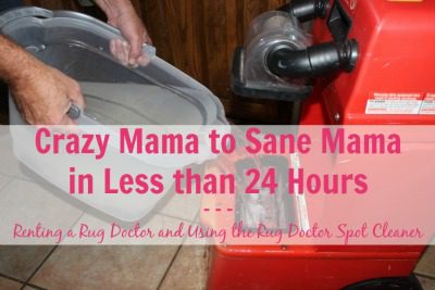 Crazy Mama to Sane Mama with Rug Doctor at ASlobComesClean.com