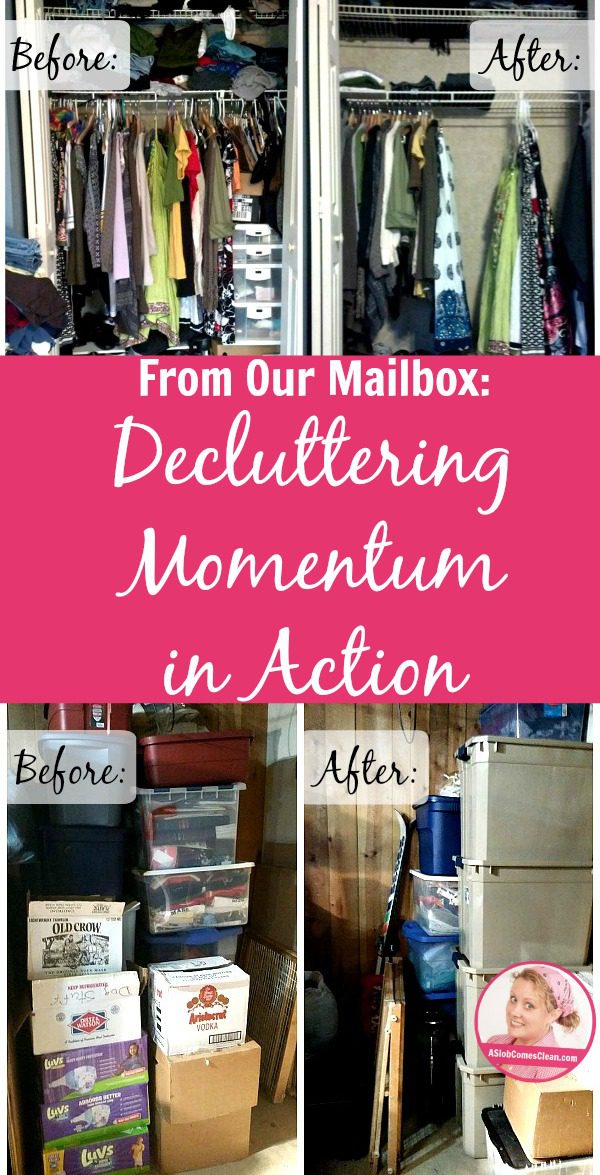 Decluttering Momentum in Action pin at ASlobComesClean.com