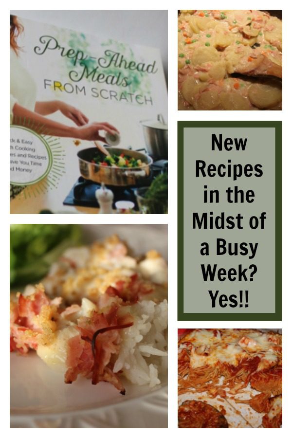 Prep-Ahead Meals from Scratch is an EXCELLENT resource for making home-cooked meals happen even in the midst of a busy week!