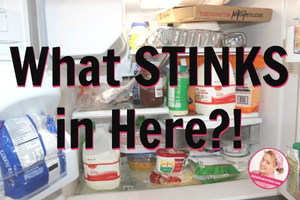 What Stinks in Here title at ASlobcomesClean.com