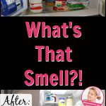What's that Smell Identifying the Nasty Smell in My Frig at ASlobComesClean.com