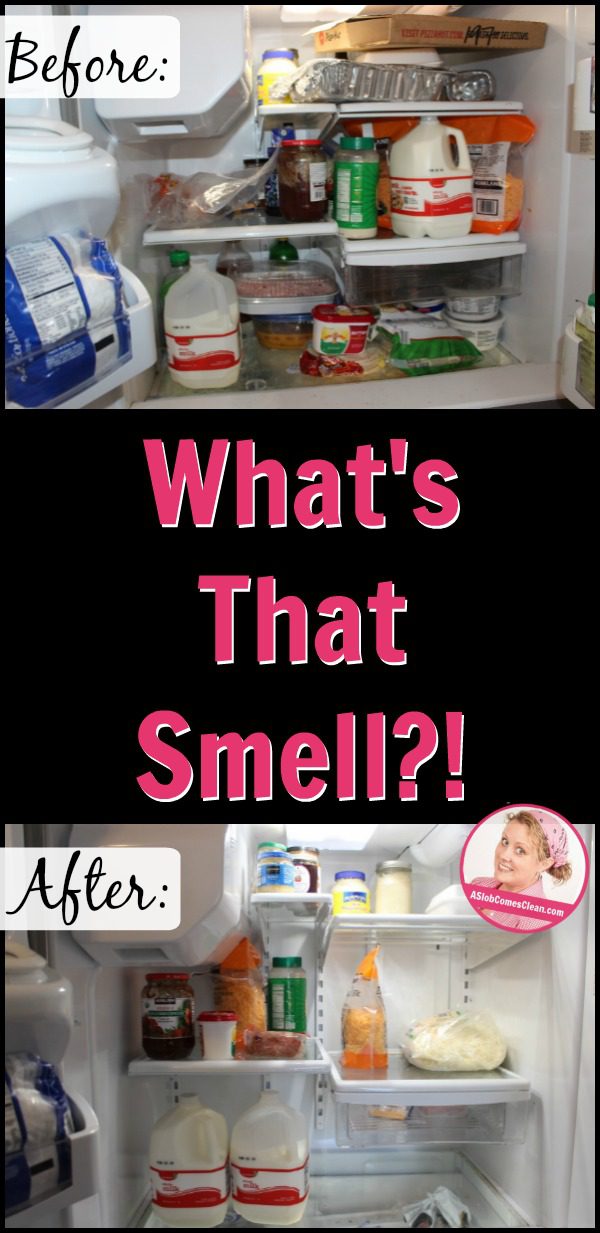 What's that Smell Identifying the Nasty Smell in My Frig at ASlobComesClean.com